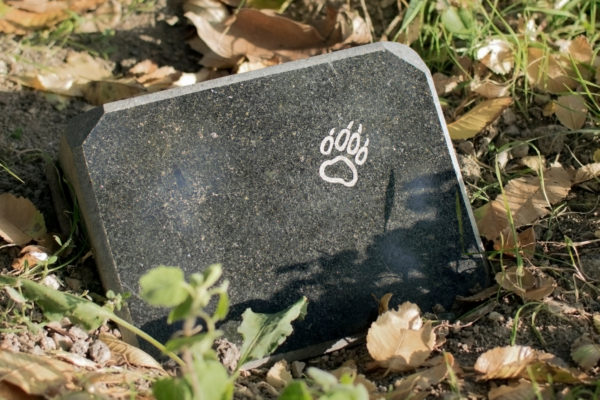 En djurgravsten  för djurbegraving i blankpolerad granit. På gravstenen är det ingraverat ett tassavtryck