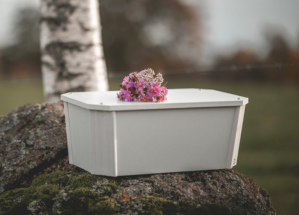 En liten vit djurkista med står på ett stenblock i naturen. Kistan är prydd med en bukett rosa ängsblommor inför djurbegravningen.