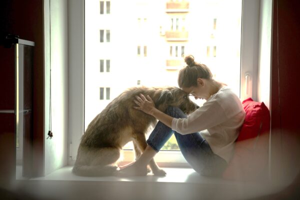 En flicka sitter sitter i en fönsterkarm. Hon lutar pannan mot en gråbeige hund, som liksom hon lutar sig framåt. Bilden utstrålar kärlek och samförstånd.