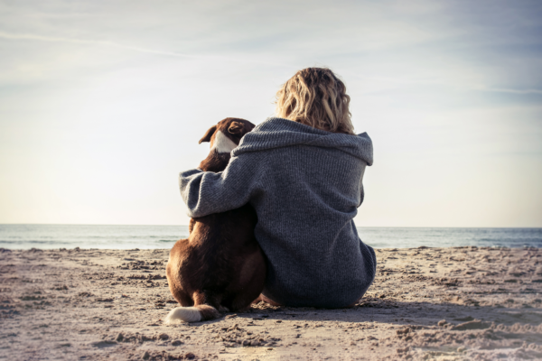 Matte och en brun hund, sitter tätt tillsammans på en strand och blickar ut över havet och horisonten. Matten är ledsen inför djurbegravningen.