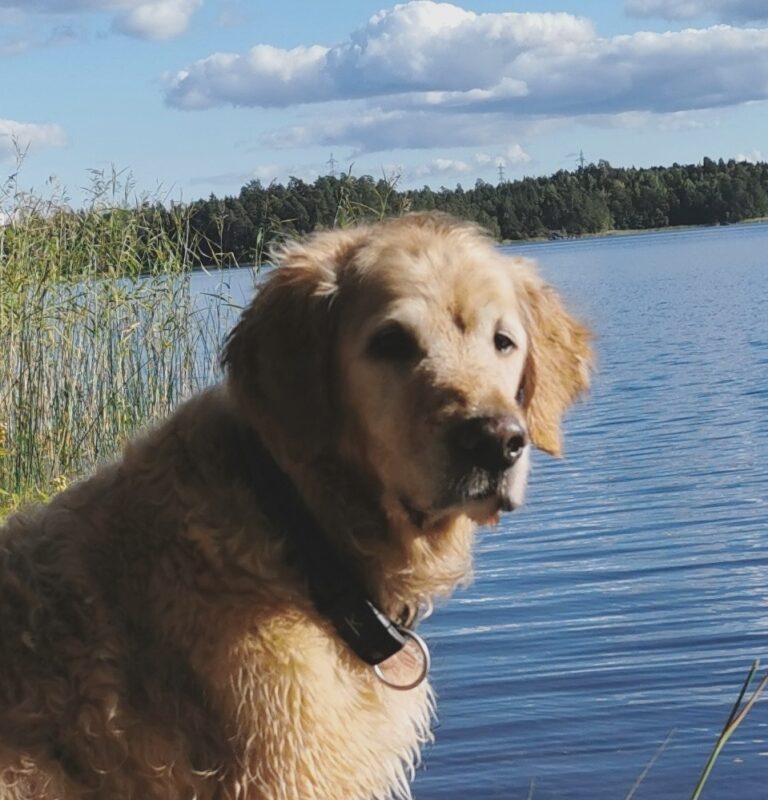BONNY