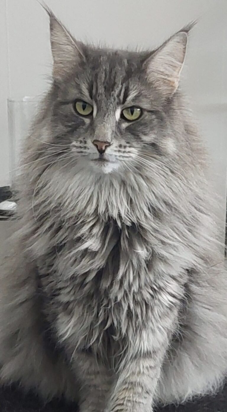 Nala