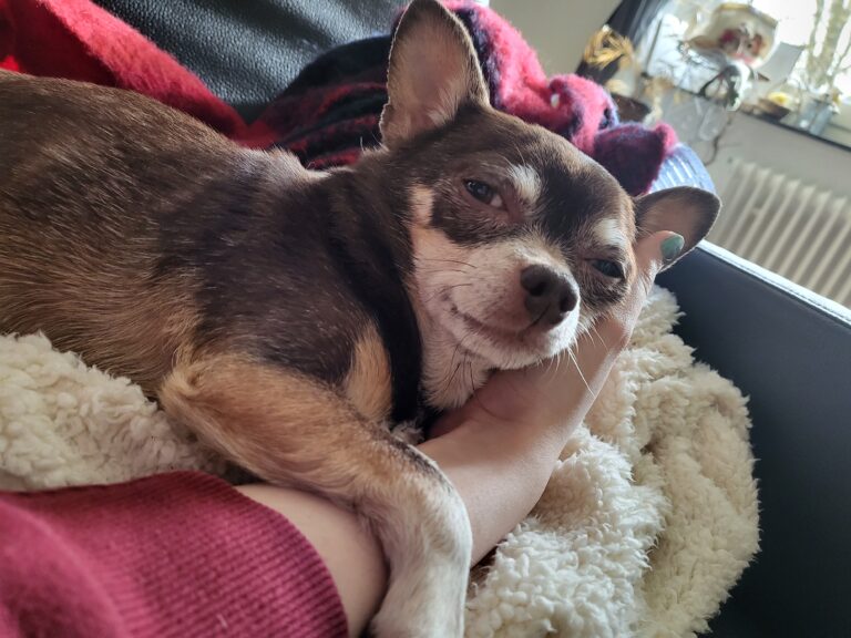 Mimi